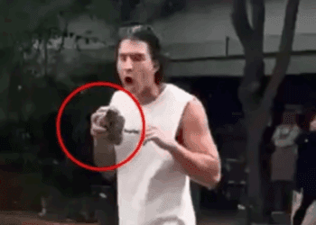 Discusión en la Condesa: extranjero confronta a vecinos con una piedra