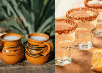 Pulque y mezcal: cultura y sabor en la CDMX