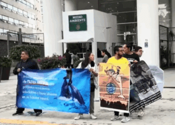 Activistas exigen regular delfinarios tras años de omisiones y denuncias por maltrato