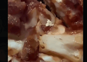 Indignación por pizza de cadena con huevos de mosca en Reynosa