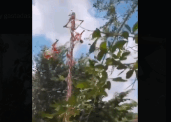 Voladores de Papantla caen durante ceremonia en Veracruz