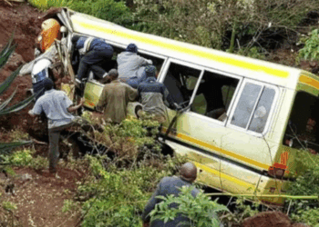 Tragedia vial en Tanzania: 38 pierden la vida en choque