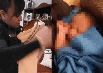 Encuentran a recién nacida abandonada en arbustos de Álvaro Obregón