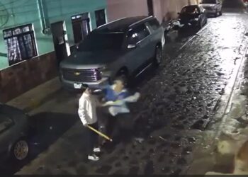 Investigan brutal agresión a perro en Tonalá