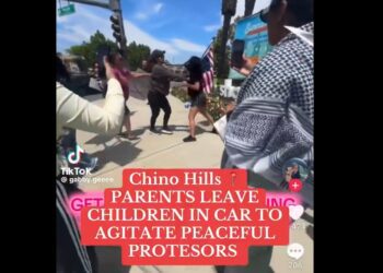 Mexicana en EU genera indignación por atacar a migrantes en protesta