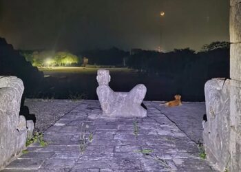 “Osita”, la perrita que vigila Chichén Itzá bajo la luz de la Luna