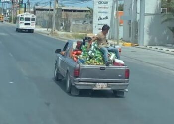 Vuelca tráiler con mangos en Reynosa y pobladores saquean la carga