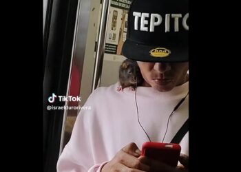Pasajero causa furor en el Metro CDMX al viajar con su rata mascota