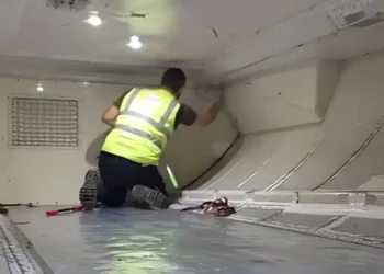 Vuelo de Virgin Australia se retrasa por serpiente