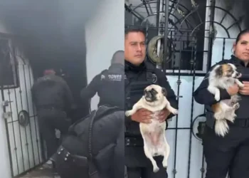 Policías rescatan perritos en incendio