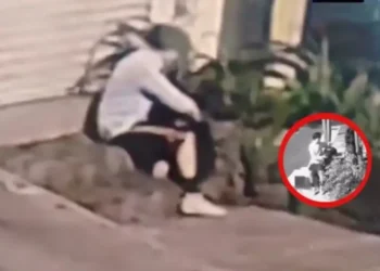 Abandonan feto de 8 meses en jardinera