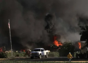 Evacúan el Gran Cañón por incendio forestal