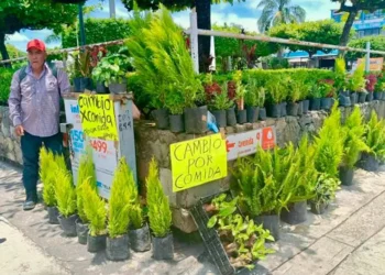 Floricultores recurren al trueque para sobrevivir