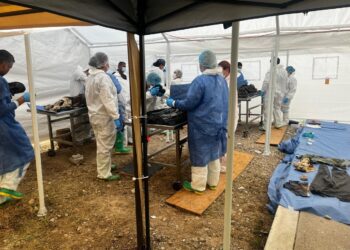 Entregarán primeros cuerpos de crematorio Plenitud