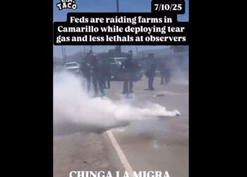 Redada migratoria del ICE en granja de Camarillo desata protestas