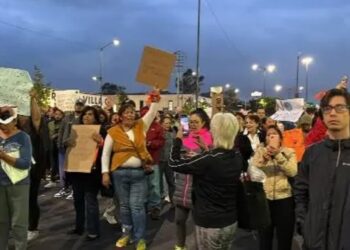 Descartan maltrato a perrita en Tlalpan tras revisar videos