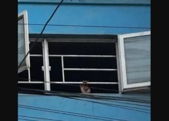 Muere joven tras ingresar a centro de rehabilitación en CDMX