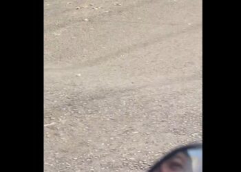 Hallan feto en jardinera de Tlalpan; investigan posible abandono