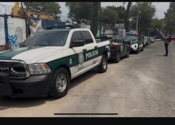 Suspenden obra en Reforma tras hallazgo de restos óseos