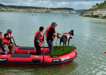 Caninos mexicanos salvan vidas en Texas tras inundaciones