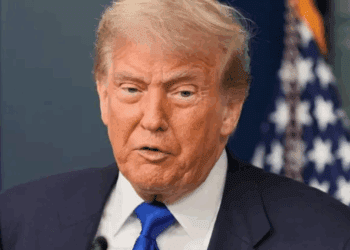 Trump critica influencia de cárteles en México