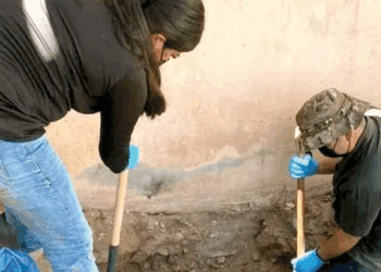 Colectivo halla tres cuerpos en fosa de casa abandonada en Sonora