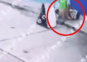 Dueños ignoran ataque de su perro a mujer en Neza