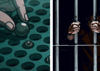 Aseguran a 28 por operar apuestas ilegales en CDMX