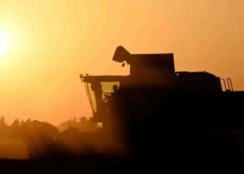 Ola de calor en Europa deja víctimas y genera alerta por incendios y clima extremo