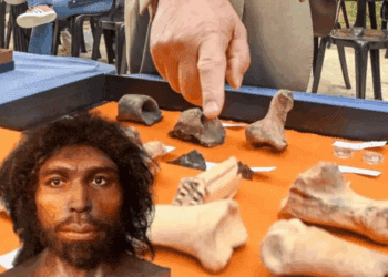 Hallazgos en Atapuerca confirman canibalismo en antecesores del Homo sapiens