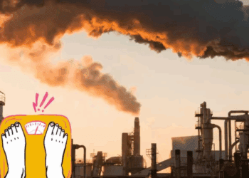 Contaminación ambiental: el factor invisible que podría dificultar perder peso