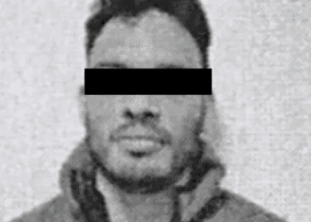 La historia de Lulu, la perrita que renunció a la CIA