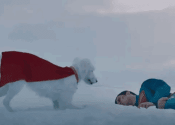 Superman: eliminan escena polémica con Krypto tras rechazo del público