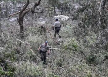 Tragedia en Texas: 27 mueren tras inundaciones que arrasaron campamento infantil
