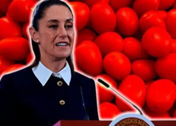 México seguirá exportando jitomate a EU pese a aranceles, afirma Sheinbaum