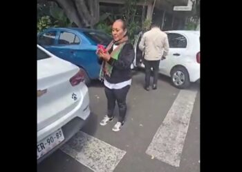 “Lady Paso Peatonal” golpea a policías por multa y se vuelve viral