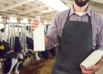 Leche Liconsa en 2025: precio, calidad y quién puede acceder