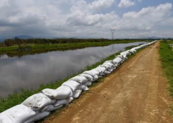 Riesgo de desbordamiento del río Lerma amenaza cultivos en el Bajío