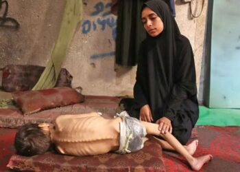 Francia reconocerá a Palestina ante la ONU