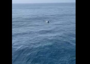 Lo confundieron con un ave; era un migrante a la deriva