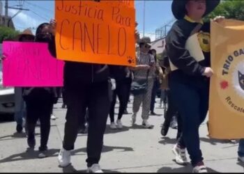 Libres tras matar a dos perros en Texcoco