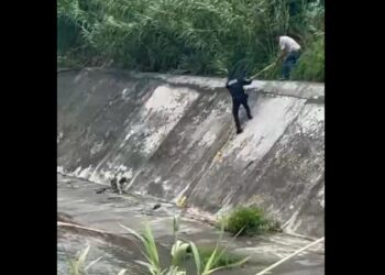 Vecinos y policías rescatan a perro atrapado en arroyo crecido por lluvias en Guadalupe