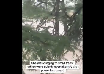 Sobrevive tras ser arrastrada 32 km por inundaciones en Texas