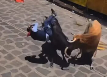 Xiqueñada deja 11 heridos tras embestida viral de toro