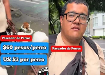 Paseador de perros gana hasta 60 mil pesos al mes