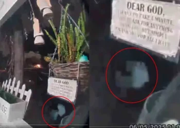 Mujer graba alien en el jardín de su casa