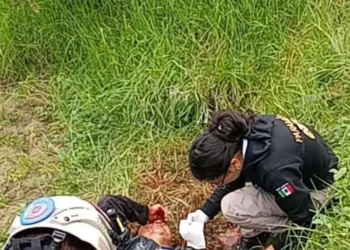 Jauría ataca a hombre en Tlaxcala