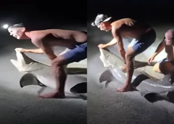 Pescador es atacado por tiburón al tomarse una foto con él