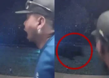 Hombre sobrevive al ataque de un oso negro