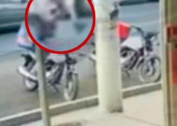 Conductor arrolla a cinco niños y un adulto en Sonora; todos hospitalizados